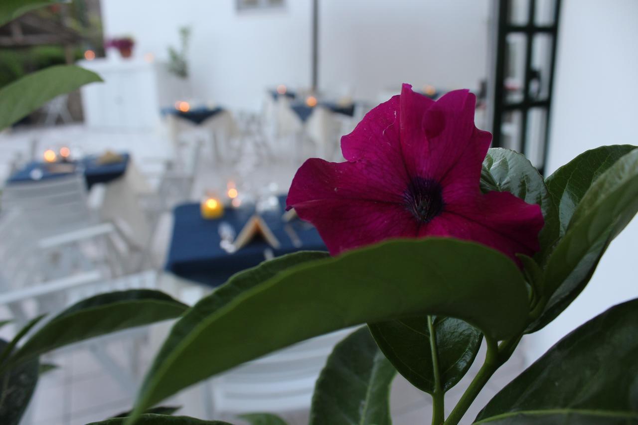 Hotel Villa Bina Sant'Angelo  外观 照片