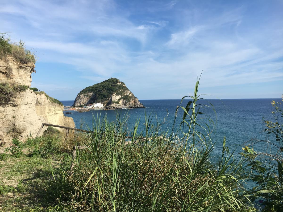 Hotel Villa Bina Sant'Angelo  外观 照片