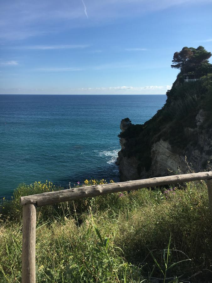 Hotel Villa Bina Sant'Angelo  外观 照片